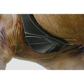 Norton Spring Sattelgurt Magnet Schwarz Norton Spring Sattelgurt Magnet Schwarz