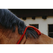 Norton Neckrope Rot Norton Neckrope Rot