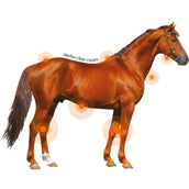 Animaderm Derfen Clear Cream Animaderm Derfen Clear Cream