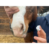 Animaderm Sonnenschutz Solaren Animaderm Sonnenschutz Solaren