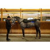 Catago LED-Therapiepad Fir-Tech X84 Catago LED-Therapiepad Fir-Tech X84