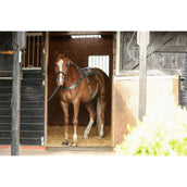 Equilibrium Massage Pad Grau Equilibrium Massage Pad Grau