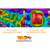 Equilibrium Massagehandschuh Hotspot Grau Equilibrium Massagehandschuh Hotspot Grau