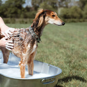Equine America Shampoo Oat-So-Soothing Natürlich Equine America Shampoo Oat-So-Soothing Natürlich