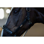 Equestrian Stockholm Halfter Glimmer Anatomic Leather Schwarz Equestrian Stockholm Halfter Glimmer Anatomic Leather Schwarz