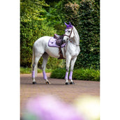 Equestrian Stockholm Gamaschen Classic Mesh Lavendel Equestrian Stockholm Gamaschen Classic Mesh Lavendel