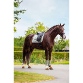 Equestrian Stockholm Schabracke Dressur Pistachio White Equestrian Stockholm Schabracke Dressur Pistachio White