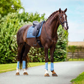 Equestrian Stockholm Schabracke Modern Dressur Midsummer Blue Equestrian Stockholm Schabracke Modern Dressur Midsummer Blue