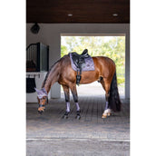 Equestrian Stockholm Schabracke Dressur Dark Violet Equestrian Stockholm Schabracke Dressur Dark Violet