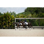 Equestrian Stockholm Schabracke Dressur White Silver Equestrian Stockholm Schabracke Dressur White Silver