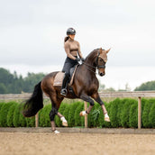 Equestrian Stockholm Schabracke Line Dressur Champagne Equestrian Stockholm Schabracke Line Dressur Champagne