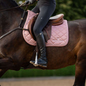 Equestrian Stockholm Schabracke Line Springen Rosa Equestrian Stockholm Schabracke Line Springen Rosa