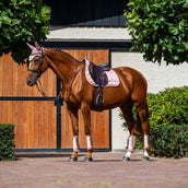 Equestrian Stockholm Schabracke Line Springen Rosa Equestrian Stockholm Schabracke Line Springen Rosa