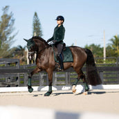 Equestrian Stockholm Hufglocken Sycamore Green Equestrian Stockholm Hufglocken Sycamore Green