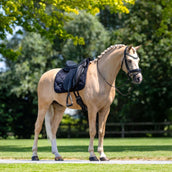 Equestrian Stockholm Schabracke Velvet Dressur Schwarz Equestrian Stockholm Schabracke Velvet Dressur Schwarz