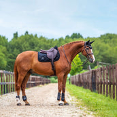 Equestrian Stockholm Schabracke Velvet Springen Schwarz Equestrian Stockholm Schabracke Velvet Springen Schwarz