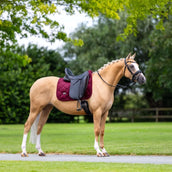 Equestrian Stockholm Schabracke Velvet Dressur Merlot Equestrian Stockholm Schabracke Velvet Dressur Merlot