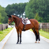 Equestrian Stockholm Schabracke Modern Springen Weiß/Merlot Equestrian Stockholm Schabracke Modern Springen Weiß/Merlot