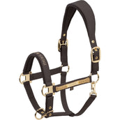 Eskadron Halfter Heritage Faux Leather Double Pin Black Truffle Eskadron Halfter Heritage Faux Leather Double Pin Black Truffle