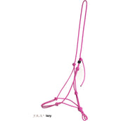 F.R.A. Reit- Ausbildungshalfte Lazy Rosa F.R.A. Reit- Ausbildungshalfte Lazy Rosa