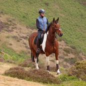 Aubrion by Shires Weste Original Fleece Blau Aubrion by Shires Weste Original Fleece Blau