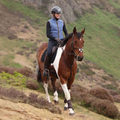 Aubrion by Shires Weste Original Fleece Blau Aubrion by Shires Weste Original Fleece Blau