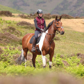 Aubrion by Shires Weste Original Fleece Maroon Aubrion by Shires Weste Original Fleece Maroon