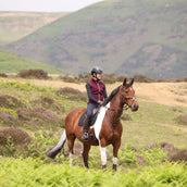 Aubrion by Shires Weste Original Fleece Maroon Aubrion by Shires Weste Original Fleece Maroon