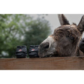 F.R.A. Cavallo Horse & Rider Hufschuh Ezel/LED Schwarz F.R.A. Cavallo Horse & Rider Hufschuh Ezel/LED Schwarz