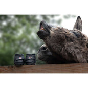 F.R.A. Cavallo Donkey/Long Ear Boot Schwarz F.R.A. Cavallo Donkey/Long Ear Boot Schwarz