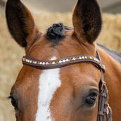 Harry's Horse Zaum Bombastic Crystals Braun Harry's Horse Zaum Bombastic Crystals Braun