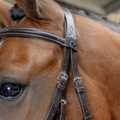 Harry's Horse Mexikanische Trense Anatomic Braun Harry's Horse Mexikanische Trense Anatomic Braun