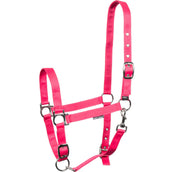 Harry's Horse Halfter 3x Verstellbar Fuchsia Harry's Horse Halfter 3x Verstellbar Fuchsia