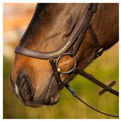 Harry's Horse Zaum Anatomic Gold Braun Harry's Horse Zaum Anatomic Gold Braun