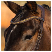 Harry's Horse Zaum Anatomic Gold Braun Harry's Horse Zaum Anatomic Gold Braun