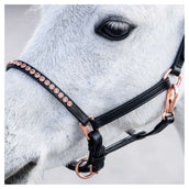 Harry's Horse Halfter Crystal Pony/Fohlen Schwarz/Roségold Harry's Horse Halfter Crystal Pony/Fohlen Schwarz/Roségold
