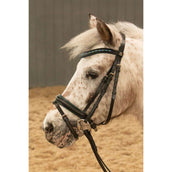 Harry's Horse Zaum STOUT! Lime Schwarz Harry's Horse Zaum STOUT! Lime Schwarz