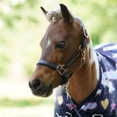 HB Harry & Hector Outdoordecke 0g Unicorn Dream HB Harry & Hector Outdoordecke 0g Unicorn Dream