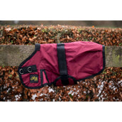 HB Fohlendecke Ukki Bordeaux HB Fohlendecke Ukki Bordeaux