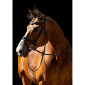 HB Zaum Jump Braun HB Zaum Jump Braun