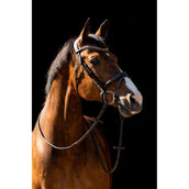 HB Zaum Jump Braun HB Zaum Jump Braun