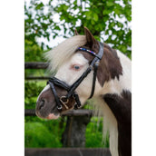 HB Ruitersport Zaum Showtime Petit Royal Schwarz HB Ruitersport Zaum Showtime Petit Royal Schwarz