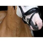 HB Showtime Zaum Special Schwarz/Gold HB Showtime Zaum Special Schwarz/Gold