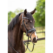 HB Showtime Zaum Las Vegas Schwarz/Navy Funkeln HB Showtime Zaum Las Vegas Schwarz/Navy Funkeln