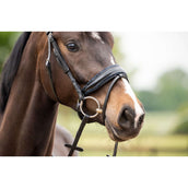 HB Showtime Zaum Las Vegas Schwarz/Navy Funkeln HB Showtime Zaum Las Vegas Schwarz/Navy Funkeln