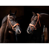 HB Showtime Zaum Chesnuth Cognac HB Showtime Zaum Chesnuth Cognac