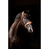 HB Showtime Zaum Chesnuth Cognac/Weiß HB Showtime Zaum Chesnuth Cognac/Weiß