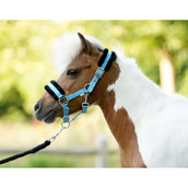 HB Halfter Sunny Flower Blau HB Halfter Sunny Flower Blau