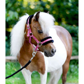 HB Halfter Sunny Flower Fuchsia HB Halfter Sunny Flower Fuchsia