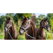 HB Halfter Showtime Pioneer Schwarz HB Halfter Showtime Pioneer Schwarz